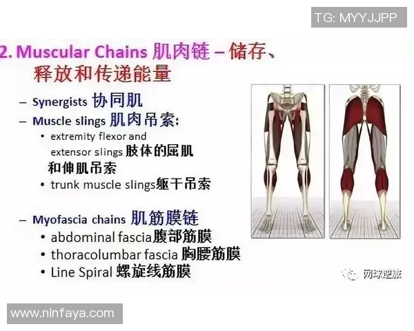 南京网球队个人能力深度解析与发展策略探讨