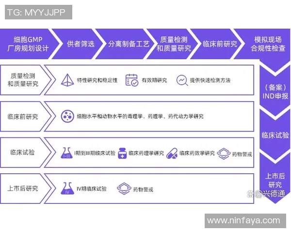 西安网球队战术解析：从基础训练到比赛策略的全面探讨