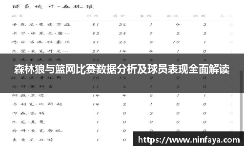 森林狼与篮网比赛数据分析及球员表现全面解读